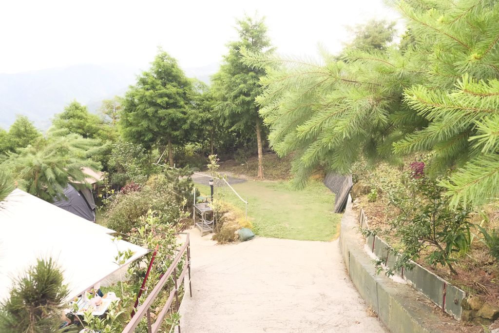 嘉義梅山鄉「悅日松林」隱藏版五星級衛浴！隱身茶園小徑中的親子露營區
