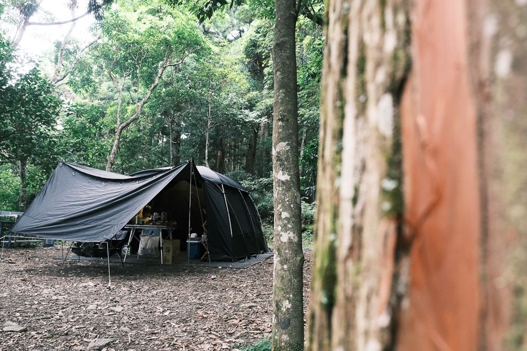 新竹尖石鄉「起初露營區」夢幻森林系、保有日據原始林場的超搶手露營區！