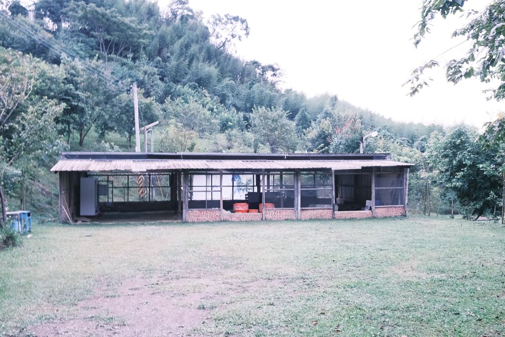 新竹尖石鄉「起初露營區」，夢幻森林系、保有日據原始林場的超搶手露營區！