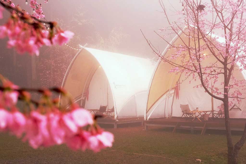 蟬說：霧繞 Woorao｜新竹豪華帳篷露營，櫻花樹底下的一泊二食，享受露營的奢華生活！